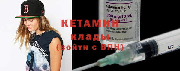 индика Новодвинск