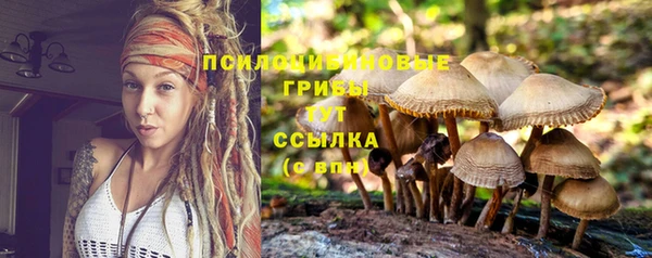 героин Няндома