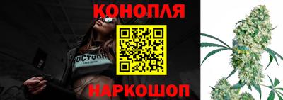 шишки Аргун