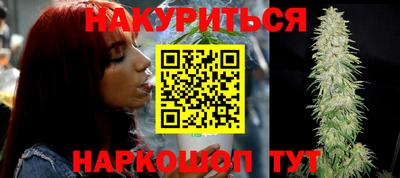 шишки Аргун