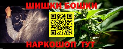 шишки Аргун