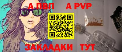 шишки Аргун