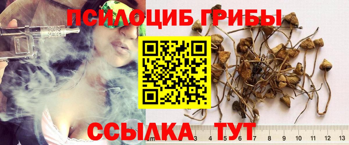 Галлюциногенные грибы GOLDEN TEACHER Белебей