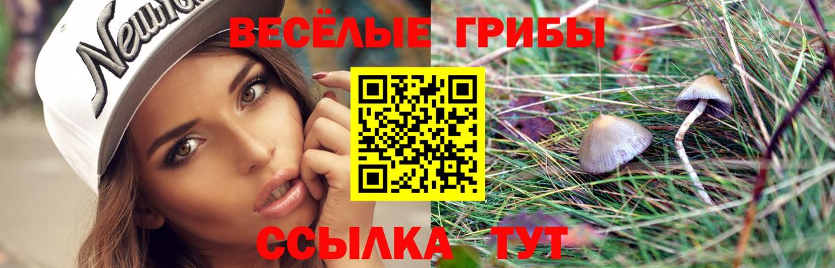 Белебей  Псилоцибиновые грибы Psilocybine cubensis  Вход с VPN 